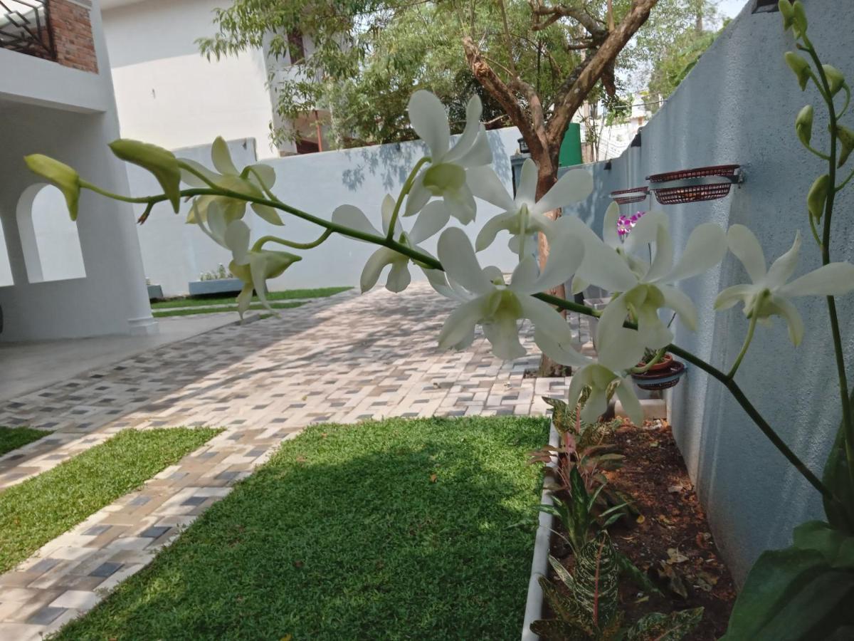 Sky Bloom Bed & Breakfast Homagama Exterior photo