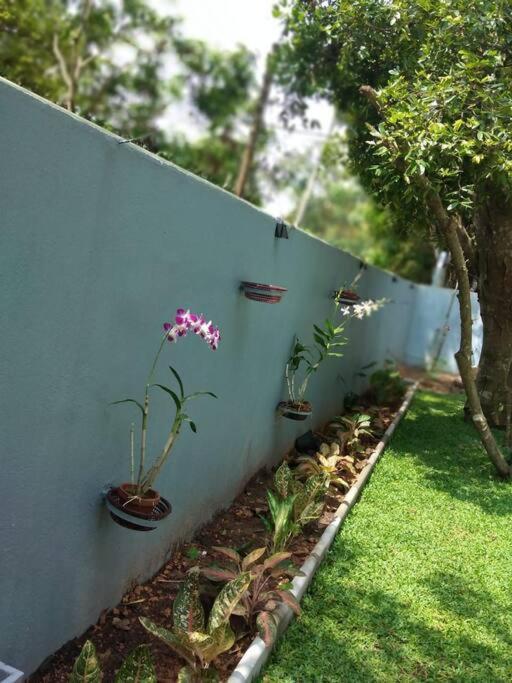 Sky Bloom Bed & Breakfast Homagama Exterior photo
