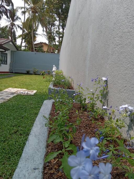 Sky Bloom Bed & Breakfast Homagama Exterior photo